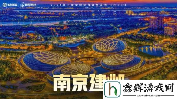 挑杯决赛公布