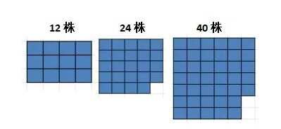 心动小镇杂交怎么弄触发